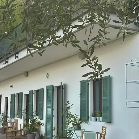 Apartment Roof Garden *