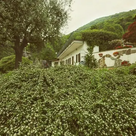 Roof Garden Apartment *