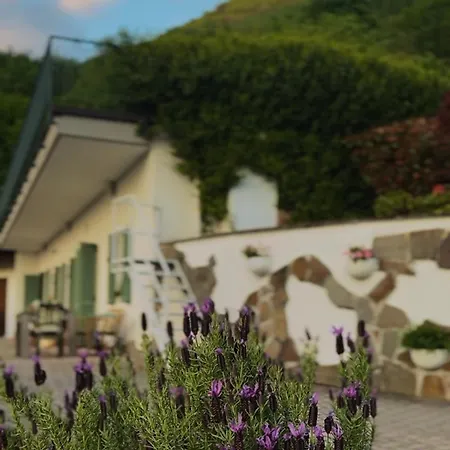 Roof Garden *