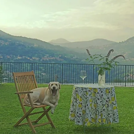 Roof Garden 아르제뇨