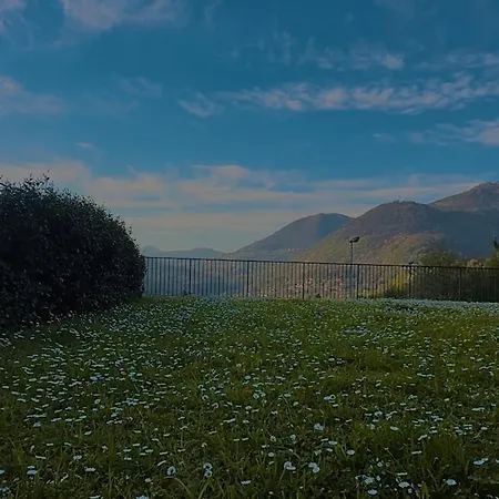 Roof Garden *
