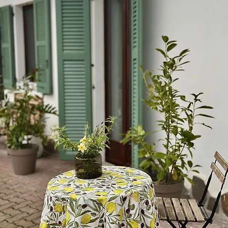 Roof Garden * 아르제뇨